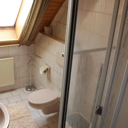 Strandmoewe * בורהאבה